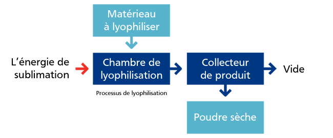 Lyophilisateur pharmaceutique