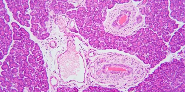 Mélange et broyage de milieux de culture cellulaire