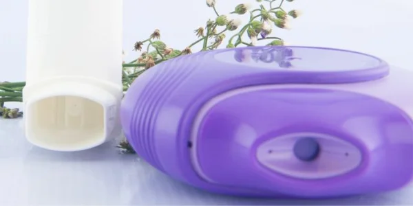 Équipement de traitement des poudres pour inhalation (IPS)