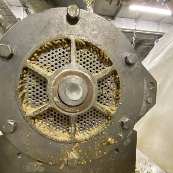Essais pilotes d'extrusion pour le traitement durable des protéines végétales
