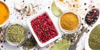 Équipements de traitement des aliments et boissons.