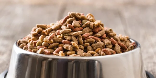 Systèmes de traitement pour l'alimentation animale