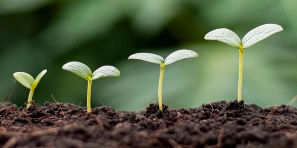 Équipements pour l’agglomération des engrais et amendements du sol.
