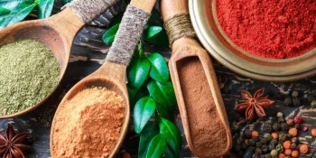 Équipements de traitement des épices et des herbes
