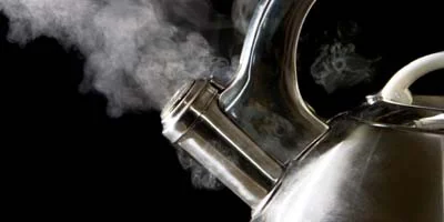 Équipement de traitement pour la stérilisation à la vapeur des produits alimentaires