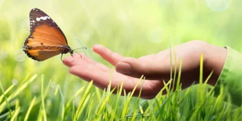 Le développement durable est au cœur de notre stratégie d’entreprise.